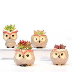 Ceramic Owl-Shaped Planters!