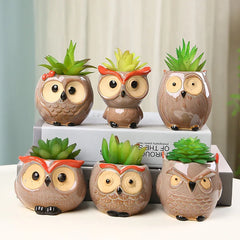 Ceramic Owl-Shaped Planters!